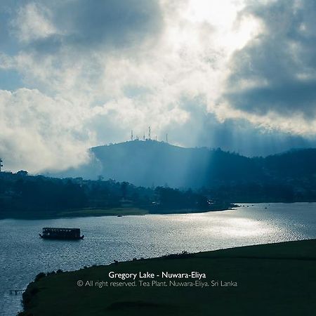 Villa Tea Plant Nuwara Eliya Exterior foto
